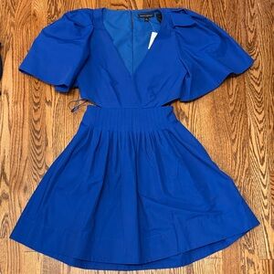 Banana Republic  V-Neck Fit & Flare Mini Dress in Cobalt Blue